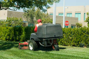man on commercial lawn mower cutting grass